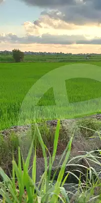 https://aqarmap.com.eg/ar/listing/7139667-for-sale-damietta-el-rawda
