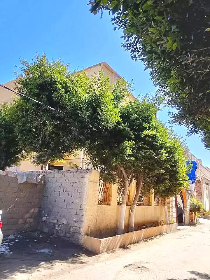 https://aqarmap.com.eg/ar/listing/7140173-for-rent-alexandria-al-agamy-lbytsh