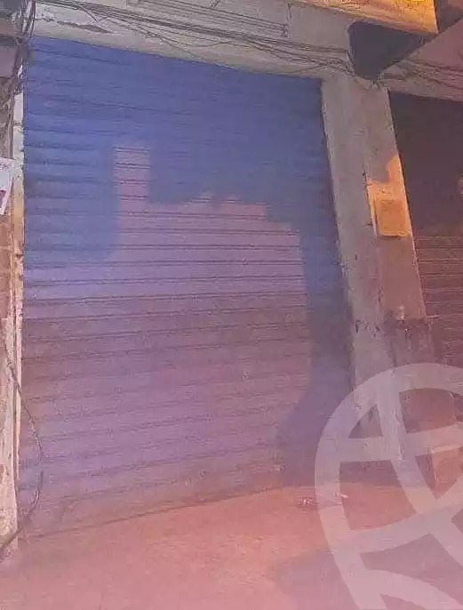 https://aqarmap.com.eg/en/listing/7140986-for-rent-alexandria-miami-iskandar-ibrahim-st