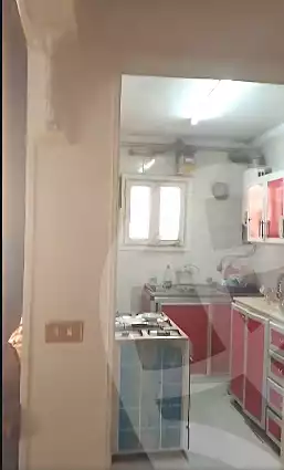 https://aqarmap.com.eg/en/listing/7142312-for-sale-cairo-ain-shams-mnshy-lthryr