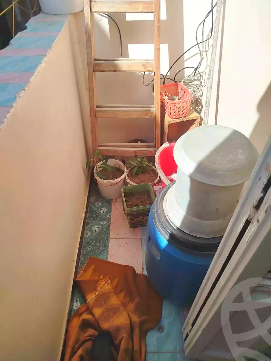 https://aqarmap.com.eg/en/listing/7143722-for-sale-alexandria-al-agamy-bw-ywsf