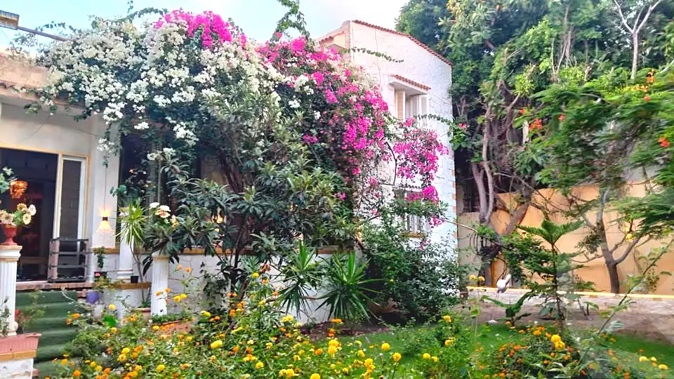 https://aqarmap.com.eg/ar/listing/7143861-for-sale-alexandria-al-agamy-lbytsh-el-hanafeya-st