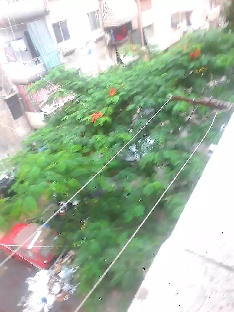 https://aqarmap.com.eg/ar/listing/7145100-for-rent-alexandria-sydy-bshr-sydy-bshr-bhry
