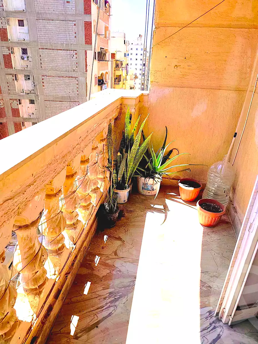 https://aqarmap.com.eg/ar/listing/7146503-for-rent-alexandria-el-asafra-l-sfr-bhry