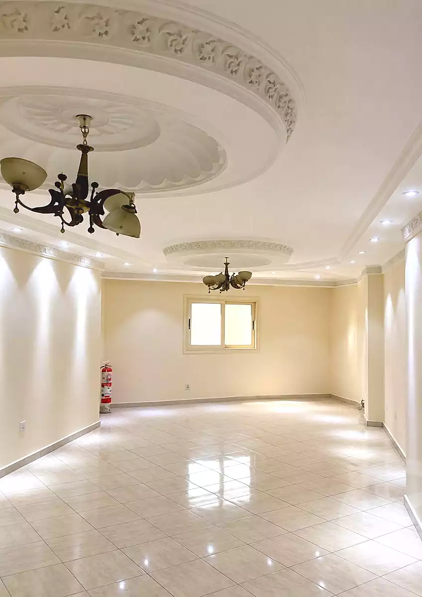 https://aqarmap.com.eg/en/listing/7154108-for-rent-cairo-faisal