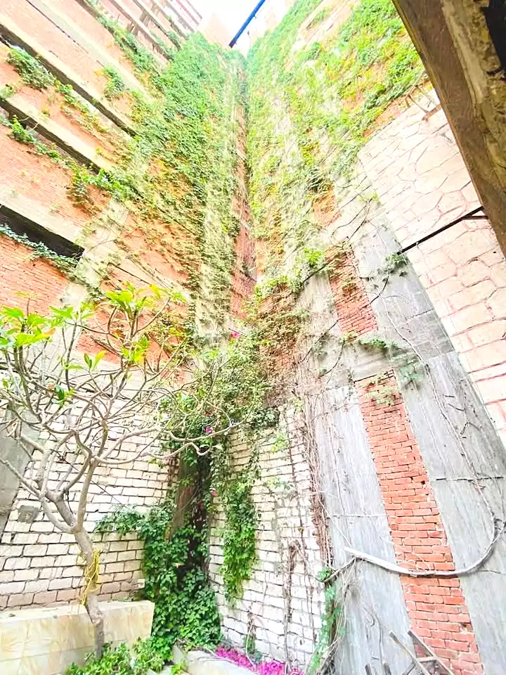 https://aqarmap.com.eg/ar/listing/7155134-for-sale-alexandria-al-agamy-lbytsh-al-nouqrashi-st