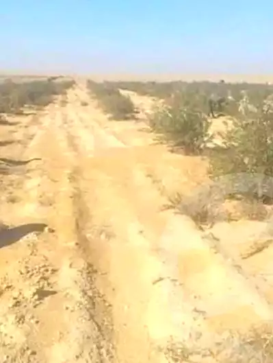 https://aqarmap.com.eg/ar/listing/7156182-for-sale-el-fayoum-tamiya-tamiyyah-city