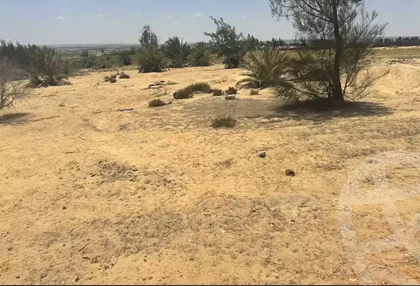 https://aqarmap.com.eg/en/listing/7157614-for-sale-beheira-wadi-el-natrun