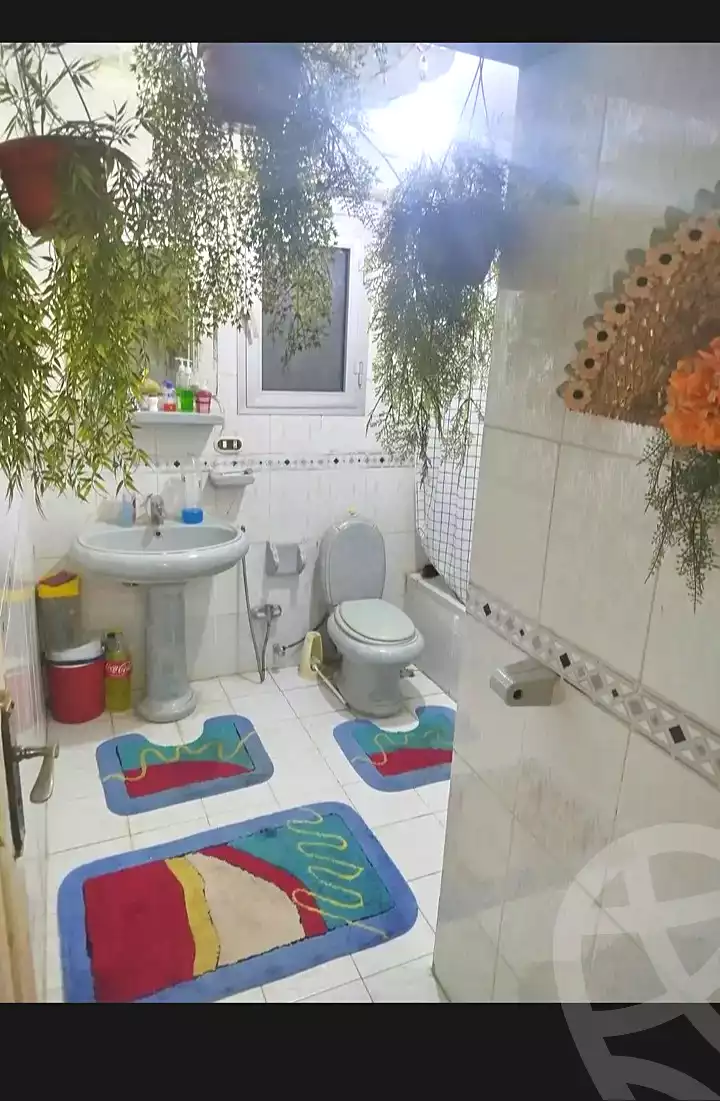 https://aqarmap.com.eg/en/listing/7158476-for-sale-alexandria-el-mandara-shr-jml-bd-lnsr