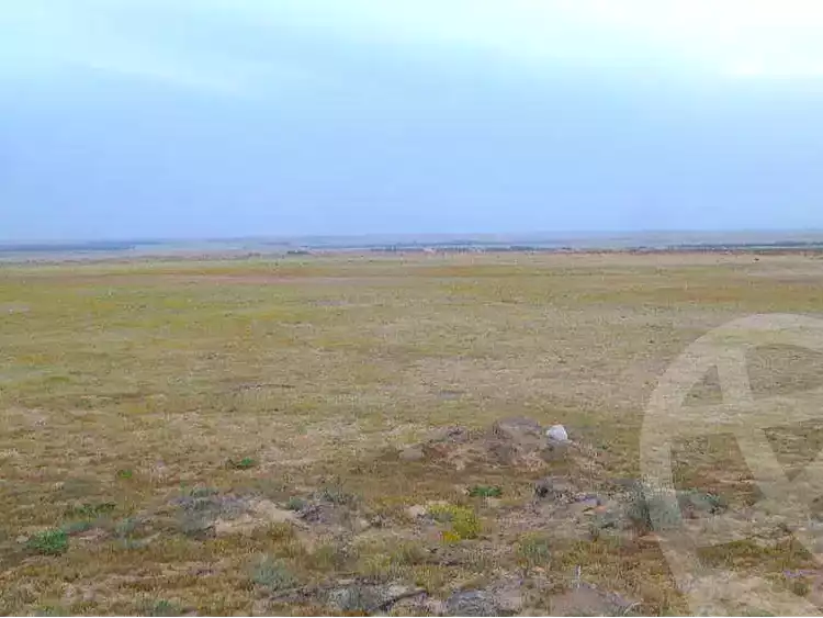 https://aqarmap.com.eg/ar/listing/7159468-for-sale-beheira-new-nubariya