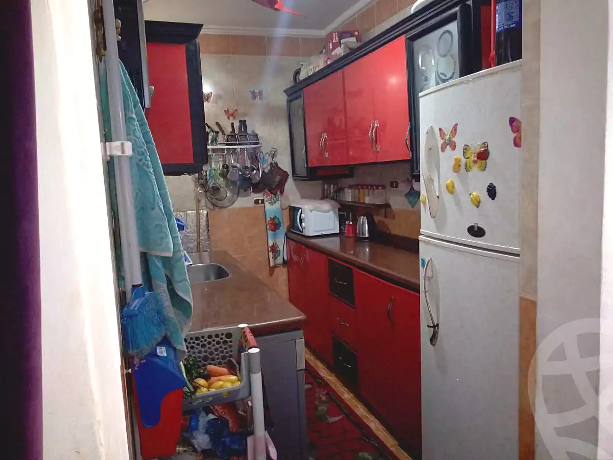 https://aqarmap.com.eg/ar/listing/7161383-for-sale-alexandria-miami-iskandar-ibrahim-st