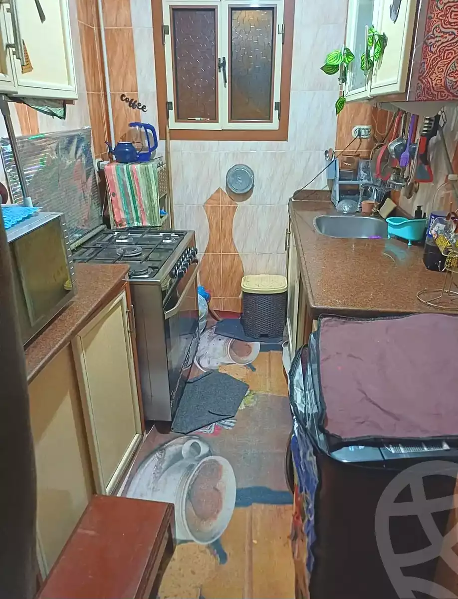 https://aqarmap.com.eg/ar/listing/7162324-for-sale-alexandria-al-agamy-lbytsh-ibrahim-othman-st
