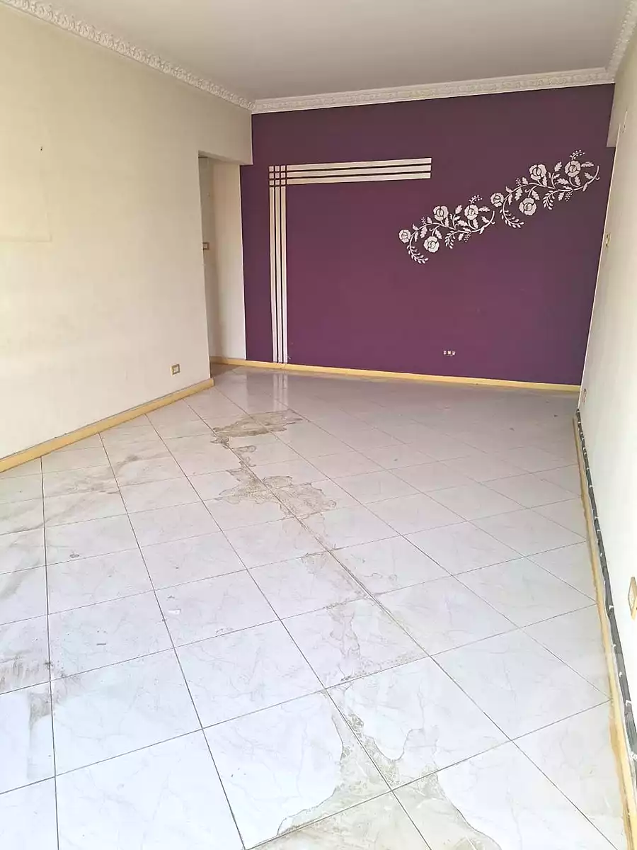 https://aqarmap.com.eg/en/listing/7163510-for-rent-cairo-heliopolis-sheraton-mostafa-refaat-st
