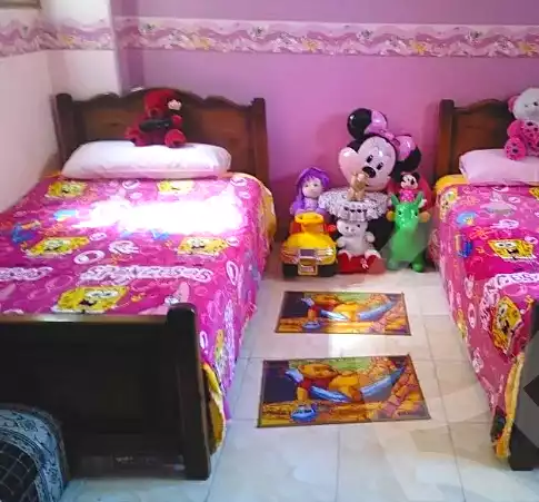 https://aqarmap.com.eg/en/listing/7163956-for-sale-cairo-ain-shams-ain-shams-el-sharkia-shalhob-st
