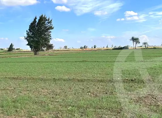 https://aqarmap.com.eg/ar/listing/7166172-for-sale-alexandria-borg-el-arab