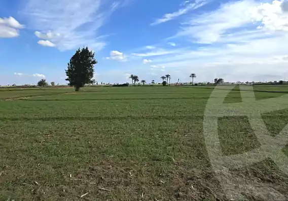 https://aqarmap.com.eg/ar/listing/7166172-for-sale-alexandria-borg-el-arab