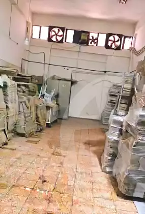 https://aqarmap.com.eg/en/listing/7166183-for-rent-alexandria-el-amreya-margham