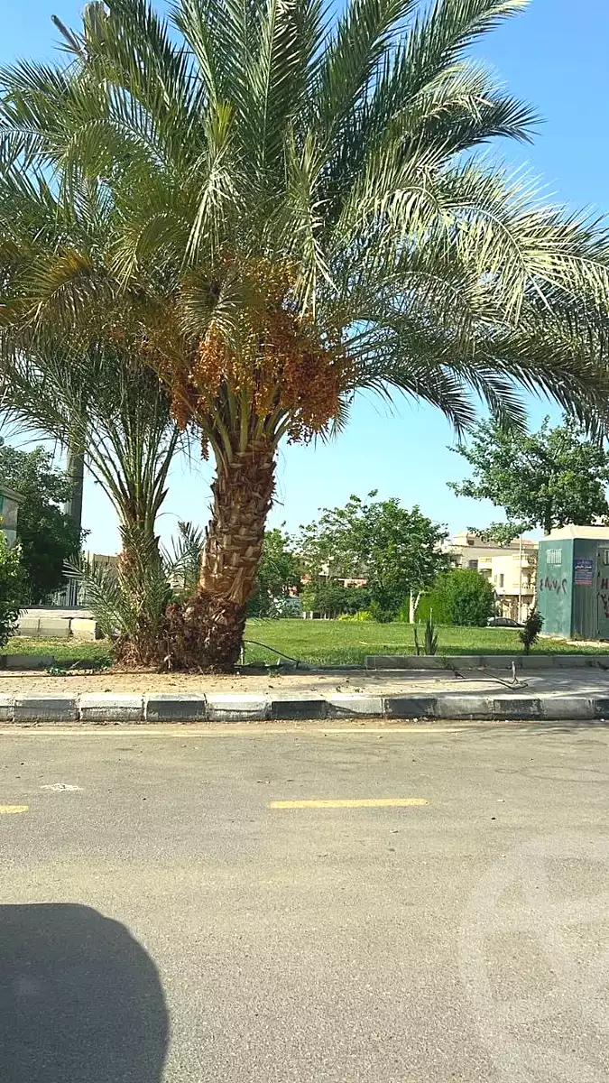 https://aqarmap.com.eg/ar/listing/7167557-for-sale-cairo-new-cairo-el-yassamin-el-yasmeen-1-samir-shehata-street