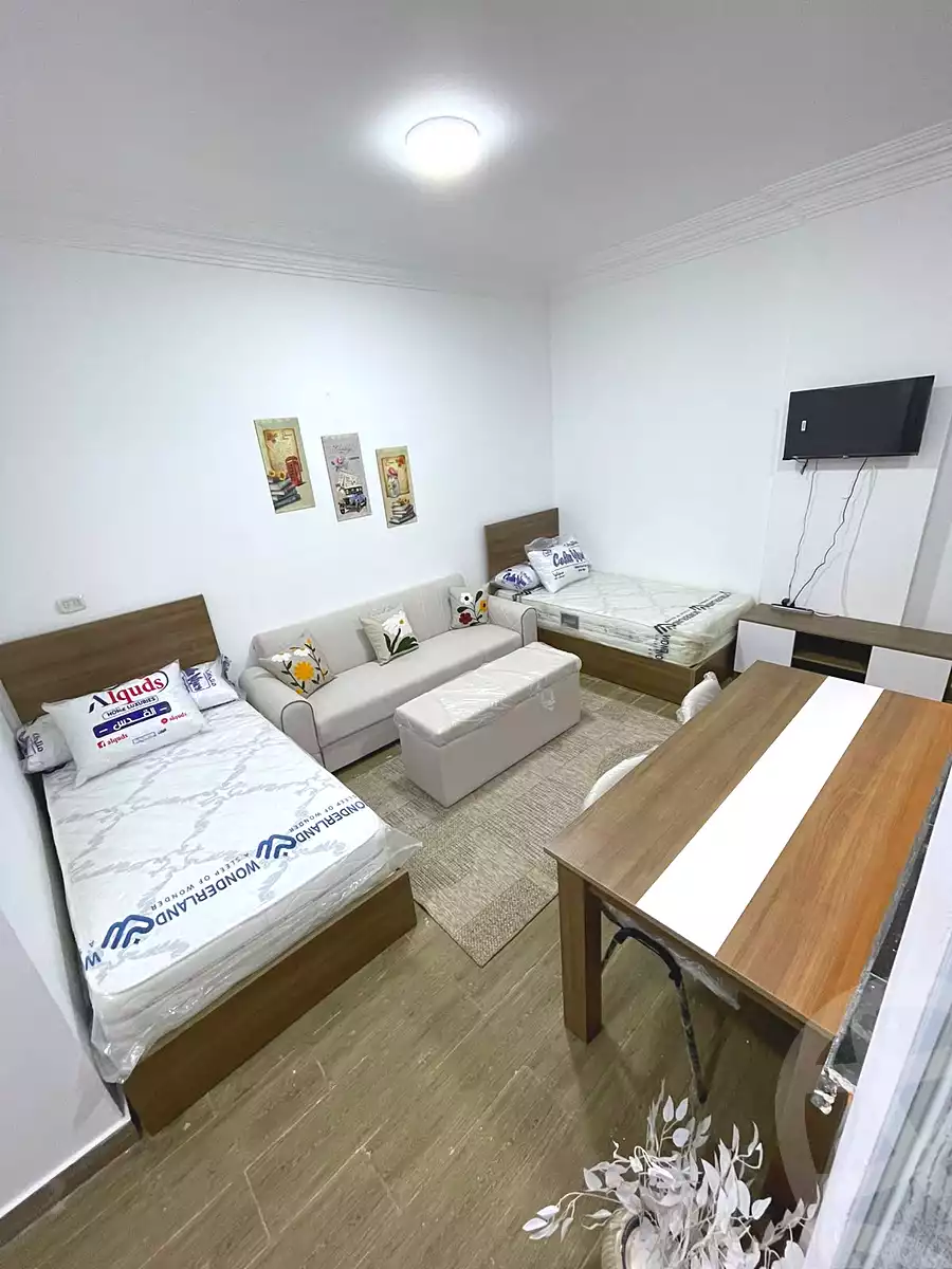 https://aqarmap.com.eg/en/listing/7167568-for-rent-cairo-new-cairo-ganob-el-akadamiya-south-academy-g-sedki-suliman-st