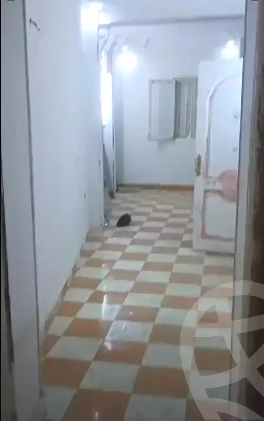 https://aqarmap.com.eg/en/listing/7170100-for-sale-qalyubia-el-khsos-izbat-el-nakhl