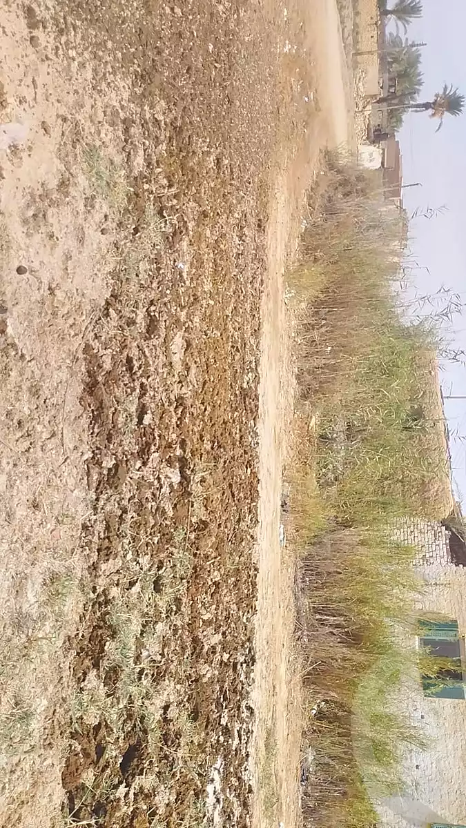 https://aqarmap.com.eg/en/listing/7172198-for-sale-suez-el-ganain-geneffe