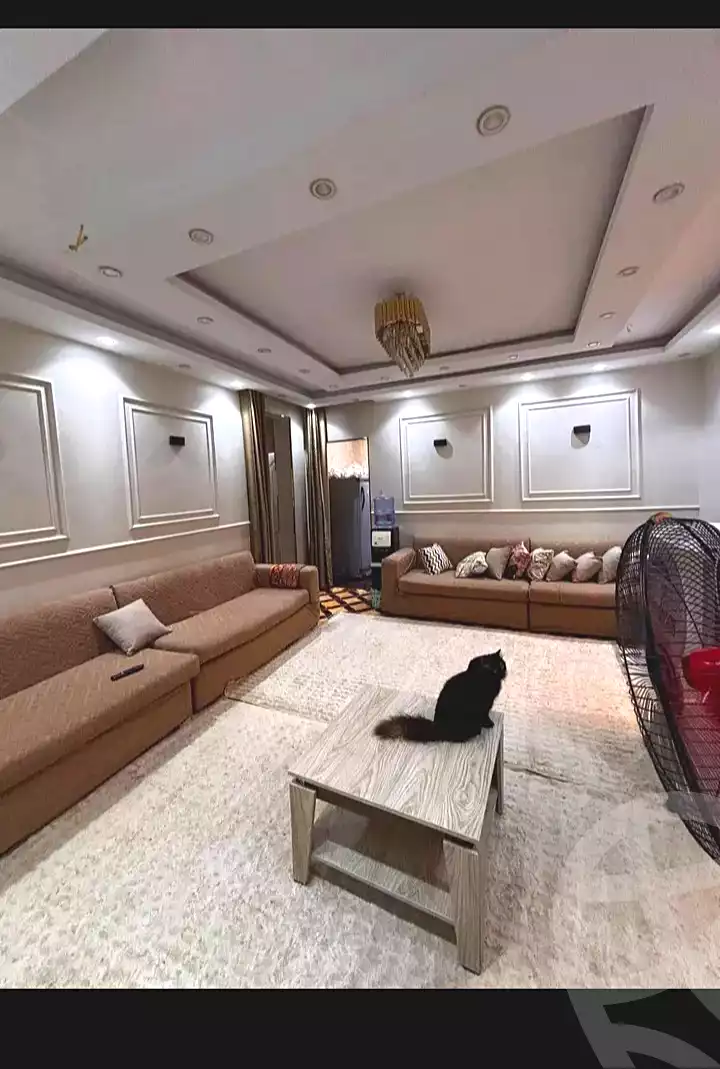 https://aqarmap.com.eg/en/listing/7172369-for-sale-cairo-faisal