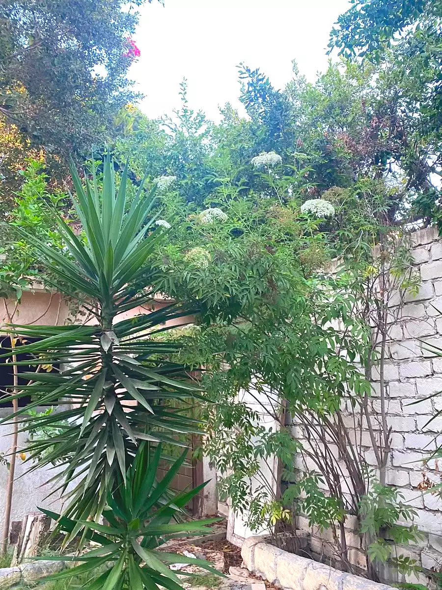 https://aqarmap.com.eg/ar/listing/7173084-for-sale-alexandria-al-agamy-lbytsh-el-hanafeya-st