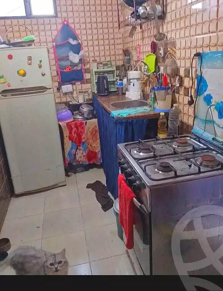 https://aqarmap.com.eg/en/listing/7175939-for-sale-alexandria-el-mandara-shr-mlk-hfny