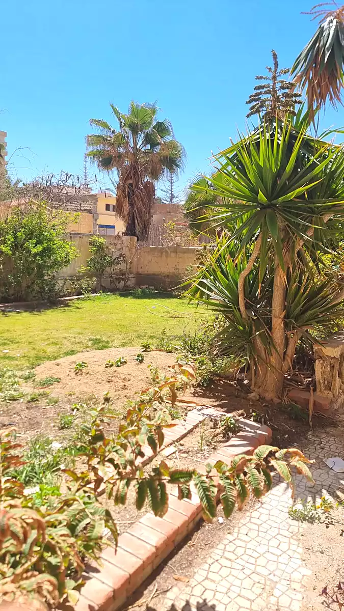 https://aqarmap.com.eg/en/listing/7165435-for-sale-alexandria-al-agamy-bw-ywsf-hosni-mubarak-st