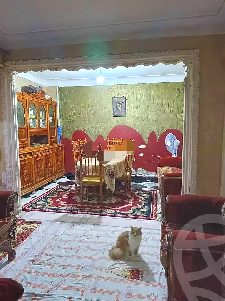https://aqarmap.com.eg/en/listing/7178937-for-sale-alexandria-al-agamy-lbytsh