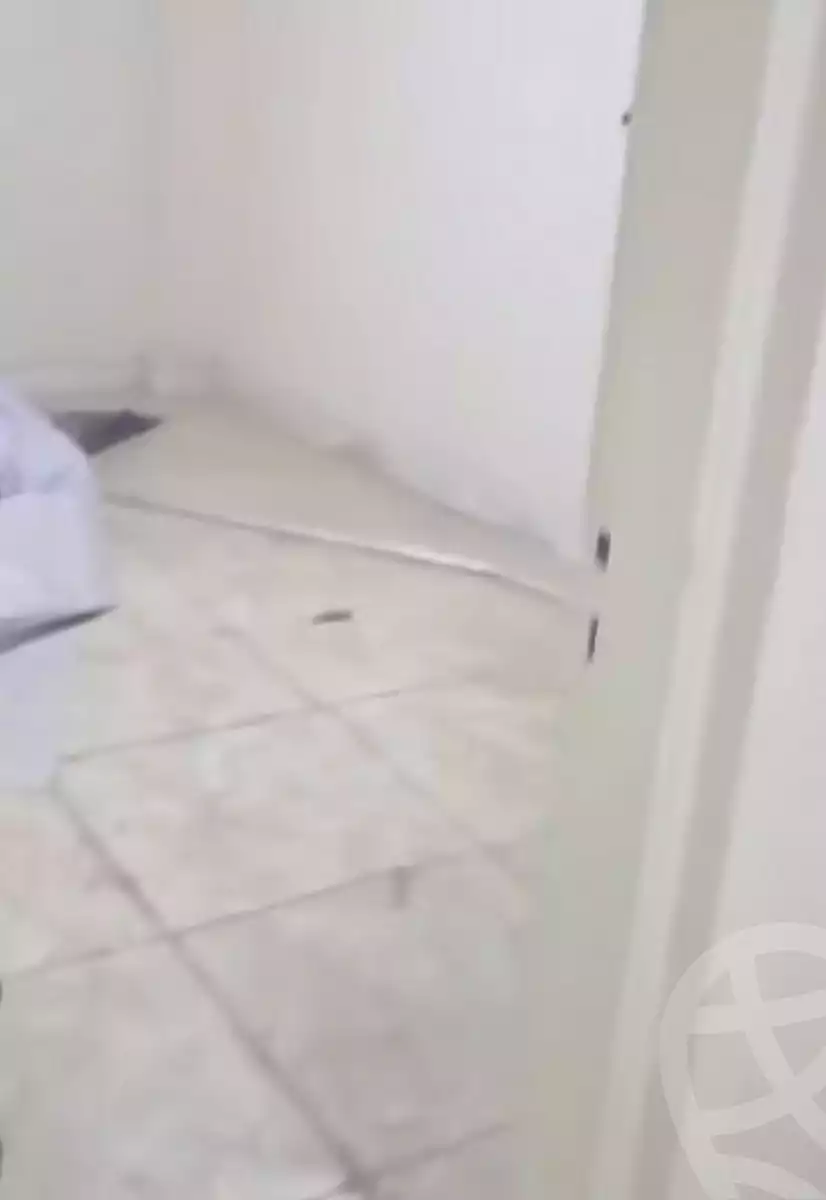 https://aqarmap.com.eg/en/listing/7181408-for-sale-cairo-el-haram-shareaa-el-talateny