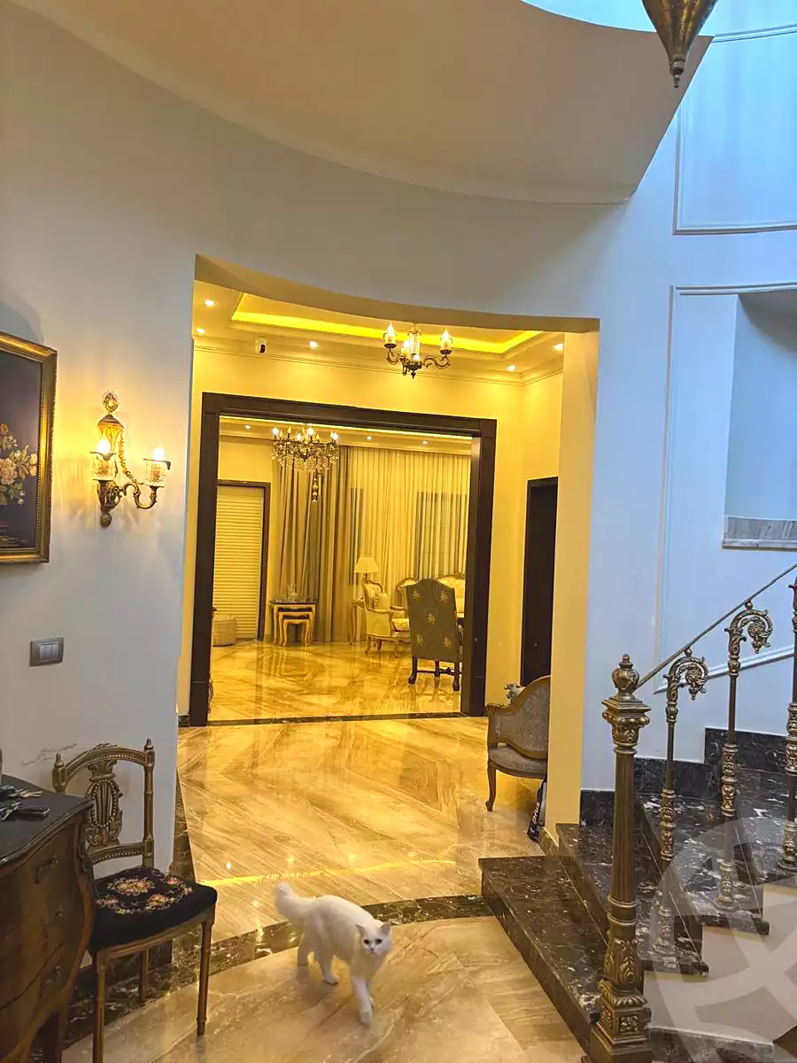 5 BR Villa in Hyde Park, photo 11 of 13