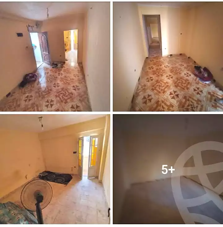 https://aqarmap.com.eg/en/listing/7187088-for-sale-alexandria-lsywf-el-falki-street-16-el-eslah