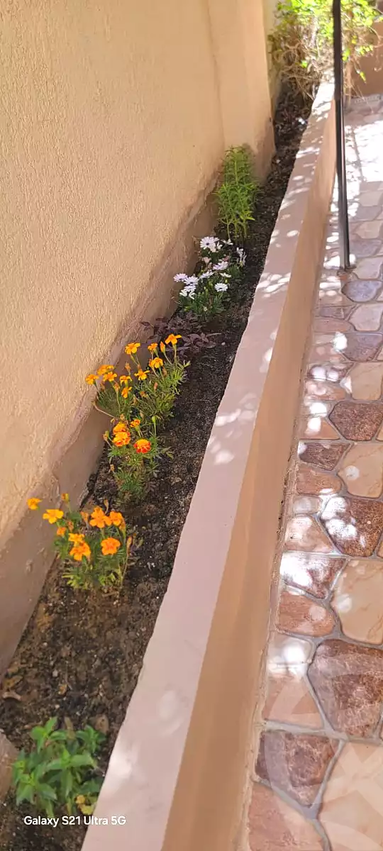 https://aqarmap.com.eg/ar/listing/7188139-for-sale-cairo-new-cairo-el-banafsg-el-banafsag-omarat-al-gabri-st