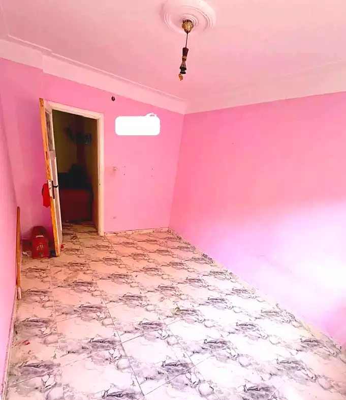 https://aqarmap.com.eg/en/listing/7191873-for-sale-alexandria-miami-el-sebaey-st