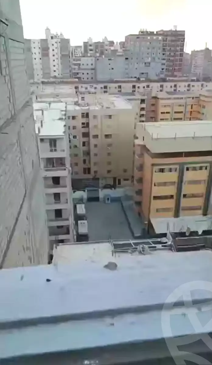 https://aqarmap.com.eg/en/listing/7192567-for-sale-alexandria-new-miami-eskot