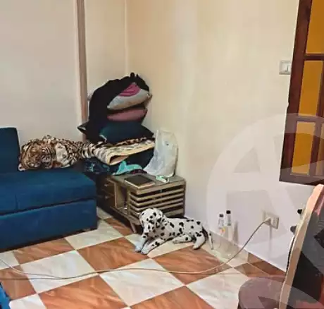 https://aqarmap.com.eg/en/listing/7194480-for-sale-alexandria-al-agamy-el-daresa-st