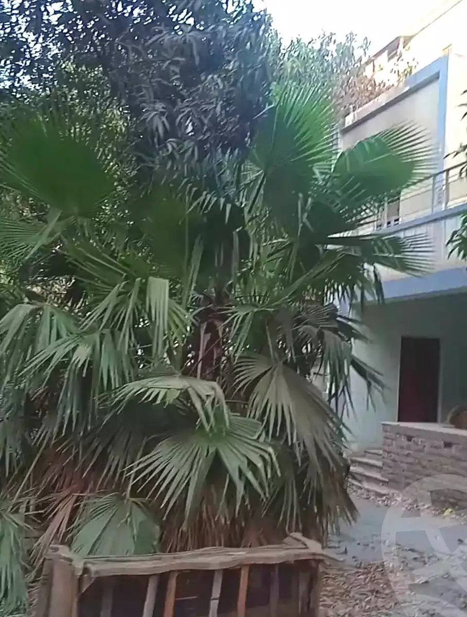 https://aqarmap.com.eg/ar/listing/7195686-for-sale-cairo-faisal-hassan-mohamed-st