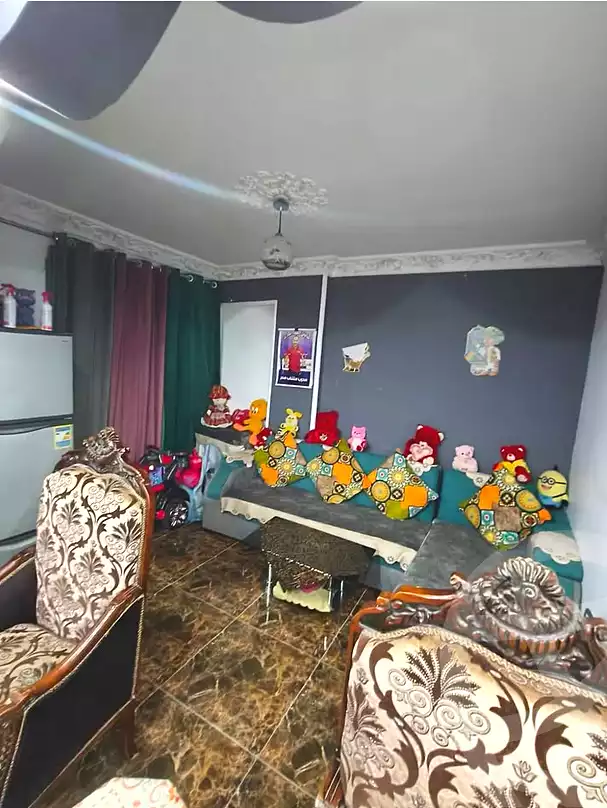 https://aqarmap.com.eg/en/listing/7199837-for-sale-alexandria-lsywf-el-falki