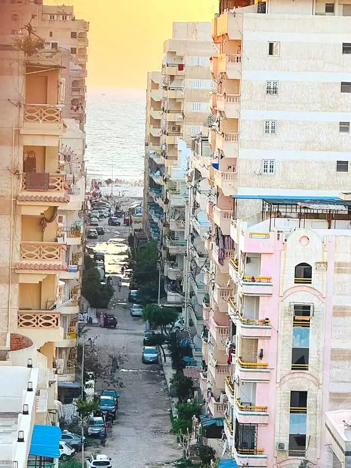 https://aqarmap.com.eg/ar/listing/7200630-for-sale-alexandria-al-agamy-shataa-el-nakheel-el-yasmin-st