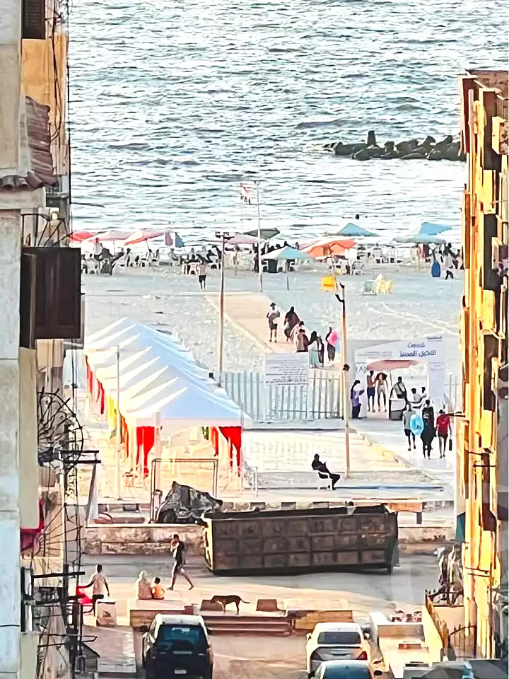 https://aqarmap.com.eg/ar/listing/7201066-for-sale-alexandria-al-agamy-shataa-el-nakheel