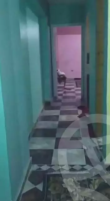 https://aqarmap.com.eg/ar/listing/7203678-for-sale-cairo-ain-shams-ain-shams-el-sharkia-el-zahraa-st