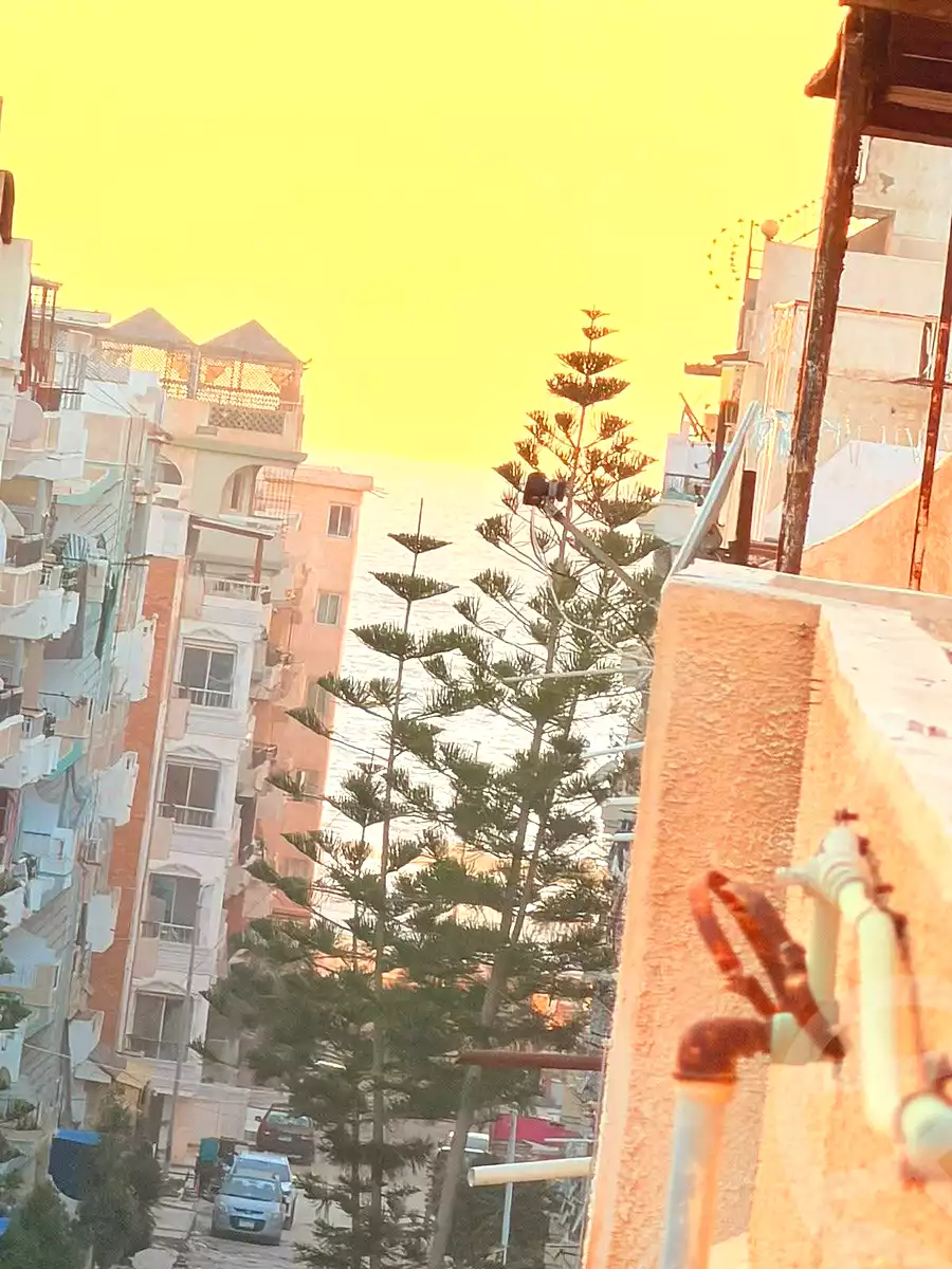 https://aqarmap.com.eg/en/listing/7205942-for-sale-alexandria-al-agamy-shataa-el-nakheel
