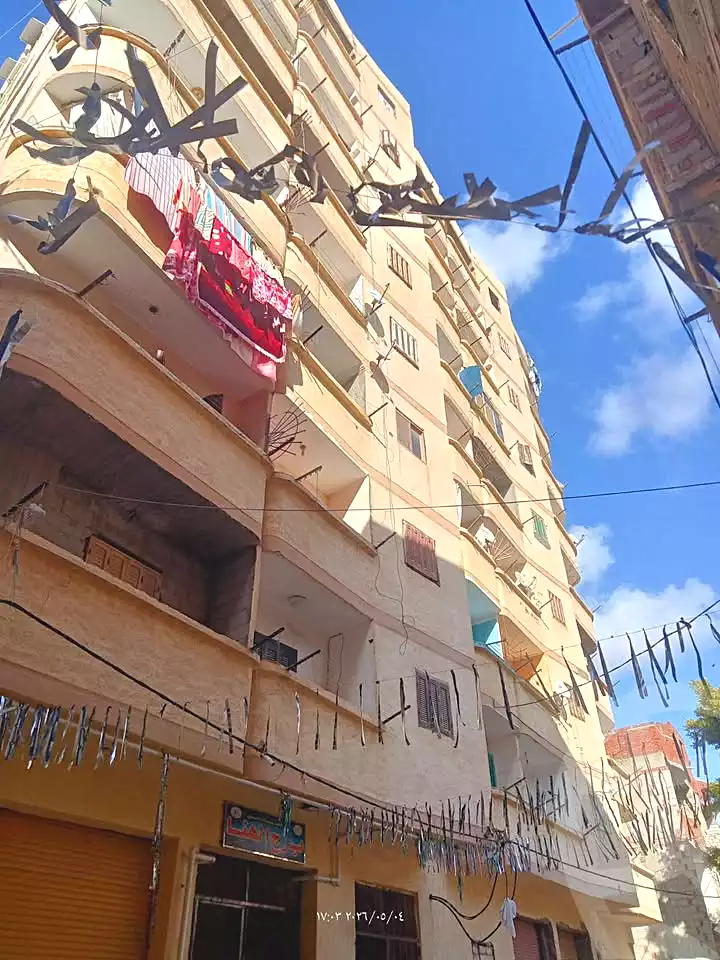 https://aqarmap.com.eg/en/listing/7208013-for-sale-alexandria-al-agamy-el-hanouvel