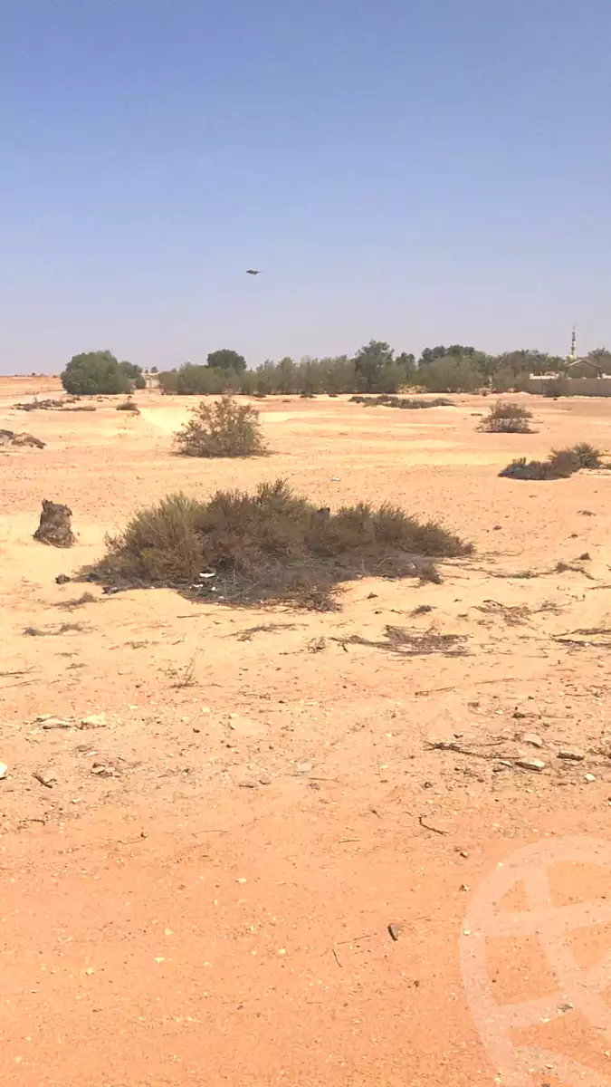 https://aqarmap.com.eg/ar/listing/7209696-for-sale-cairo-el-sheikh-zayed-city-lshykh-zyd-ljdyd-el-reef-el-oroby