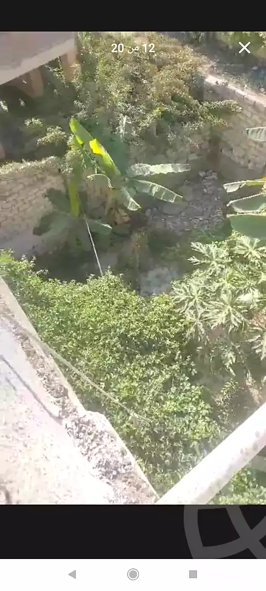 https://aqarmap.com.eg/ar/listing/7210879-for-sale-alexandria-al-agamy-lbytsh-shahr-al-assal-st