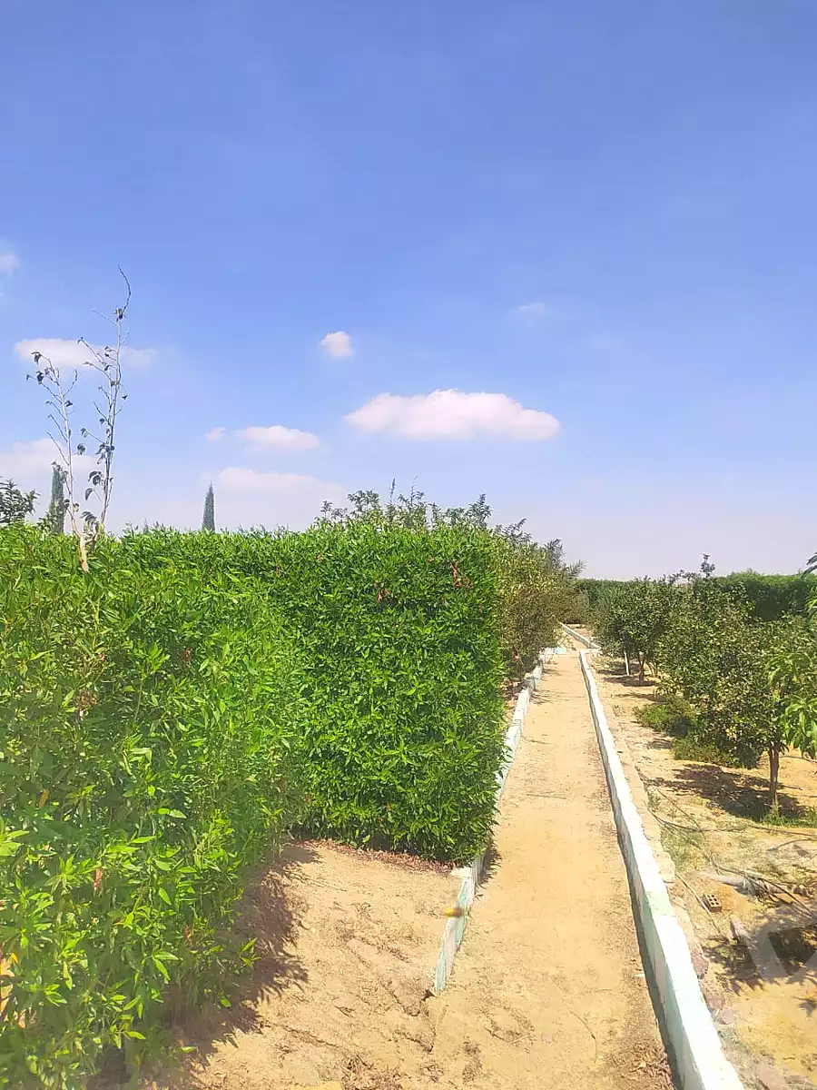 https://aqarmap.com.eg/en/listing/7212974-for-sale-el-fayoum-asyut-rd