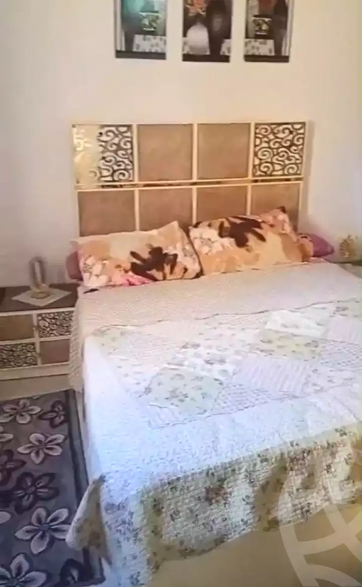 https://aqarmap.com.eg/en/listing/7216073-for-sale-alexandria-lsywf