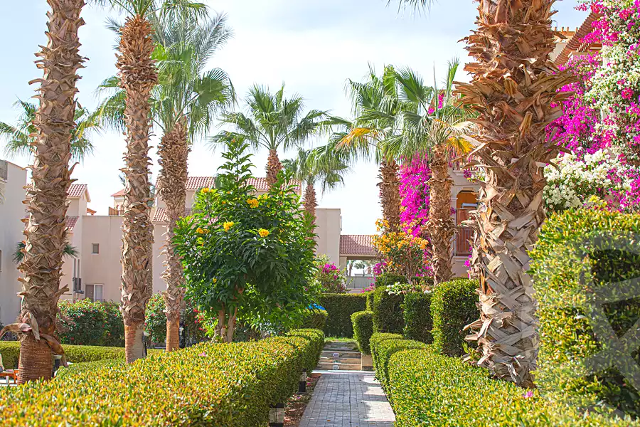 https://aqarmap.com.eg/ar/listing/7216569-for-sale-red-sea-sahl-hasheesh-sahl-hasheesh-resorts-veranda