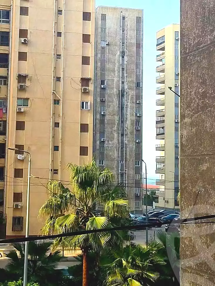 https://aqarmap.com.eg/en/listing/7216641-for-rent-alexandria-mostafa-kamel-area